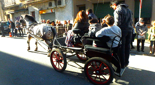 Festa de Sant Antoni Abat a Sant Feliu de Codines